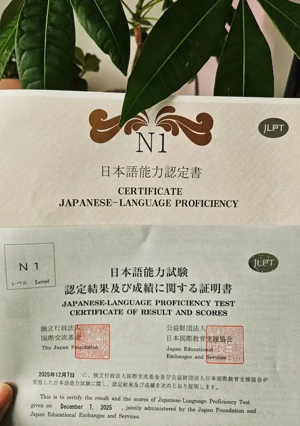 pregatire-jlpt-diploma